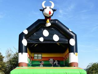 Hüpfburg Kuh open air frontal