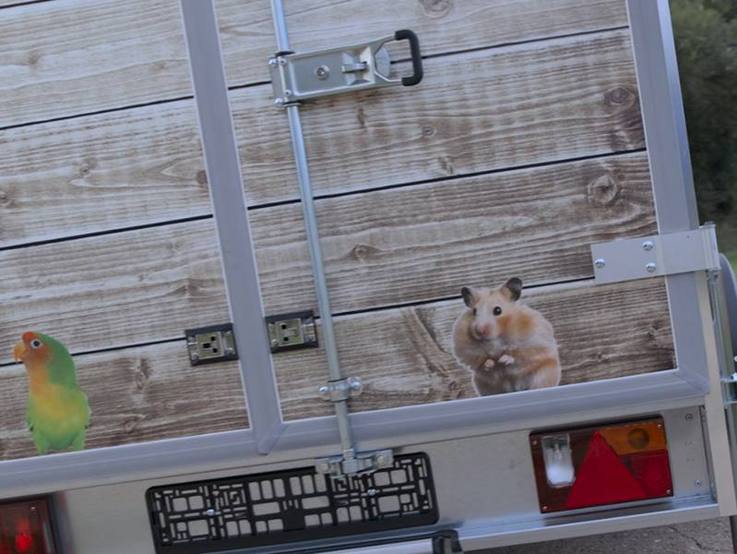 Folierter klimatisierter Kofferanhänger für Tier- und Futtermitteltransporte - Ausschnitt Heck