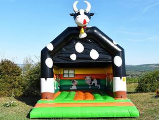Hüpfburg Kuh open air frontal von vorn oben