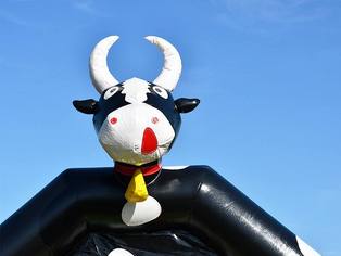 Hüpfburg Kuh - der Kopf der aufblasbaren Hüpfburg-Kuh