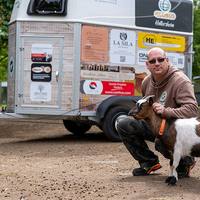 Folierter gesponsorter Pferdeanhänger für den Tierpark Hattersheim