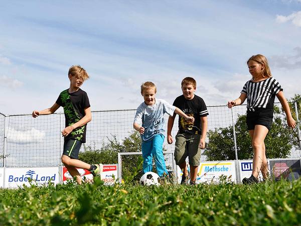 Soccer Arena Soccer Arena