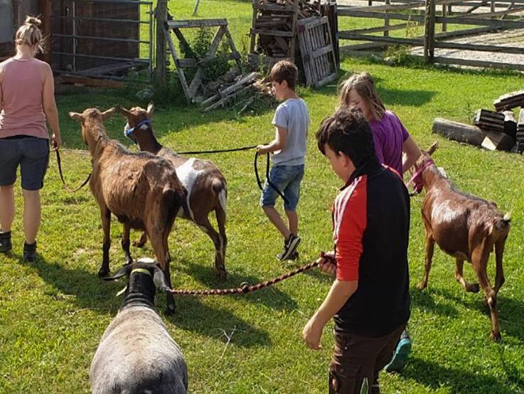 Spaziergang der Kinder mit Ziegen an der Leine auf dem Gelände der Paulihof Kinderhilfe gGmbH