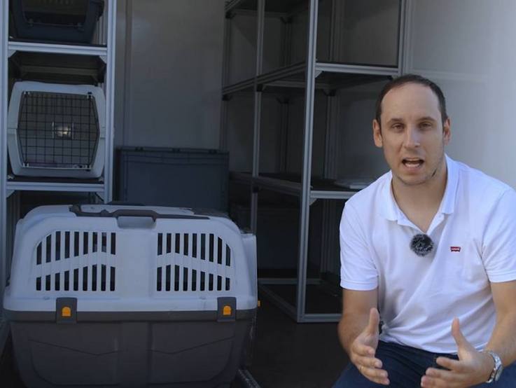 Einblick in den klimatisierten Tier- und Futtermitteltransportanhänger - Kofferanhänger