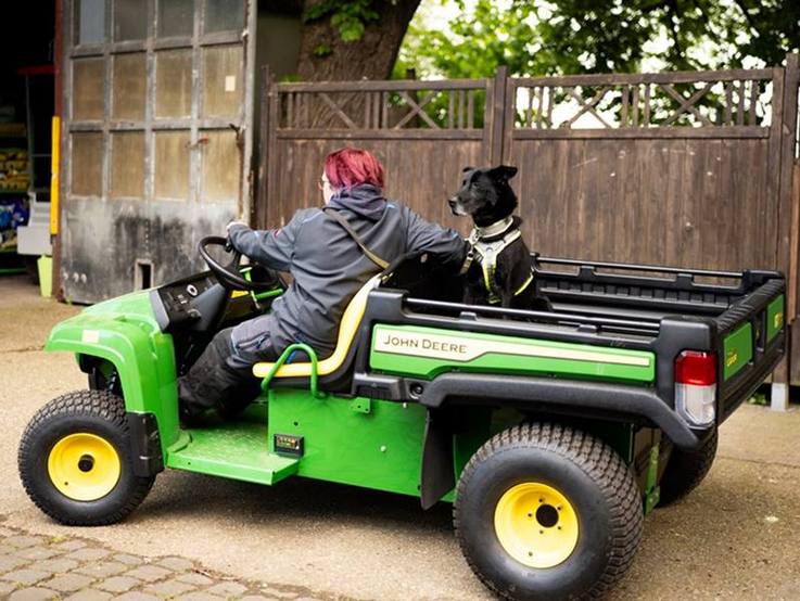 John Deere Gator mit Hund auf der Ladeflache