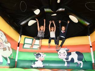 Hüpfburg Kuh Innenraum bespielt
