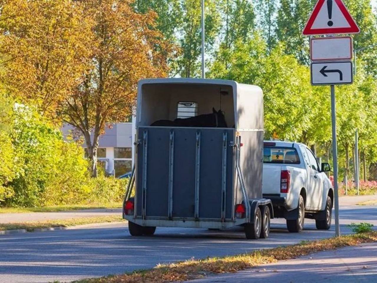 Ausblick auf ein vorausfahrendes Auto mit Pferdetransportanhänger