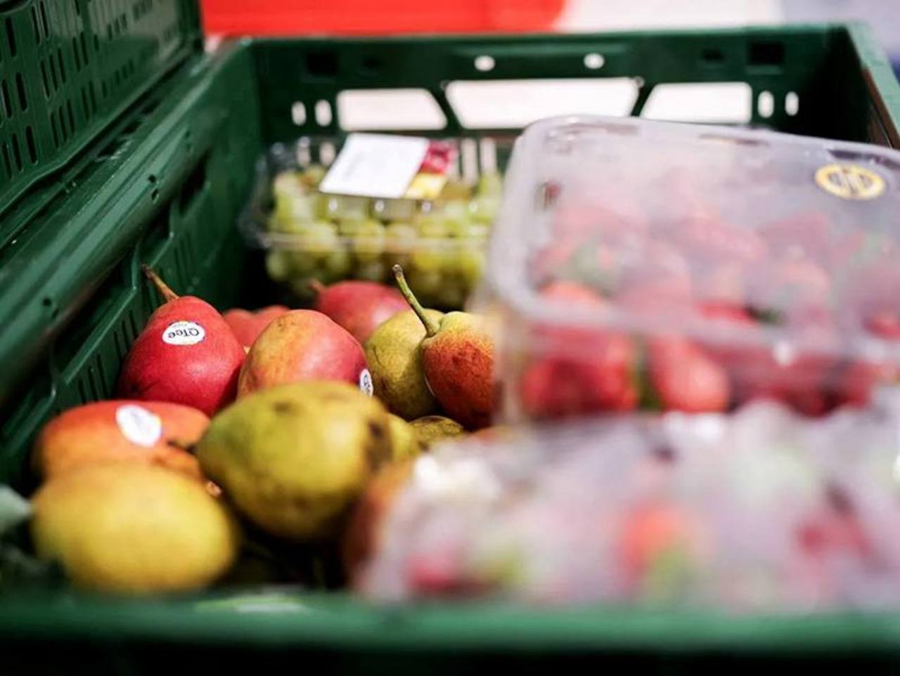 Obst - teilweise in Plastik verpackt - in grünen Obst- und Gemüsekisten aus Plastik